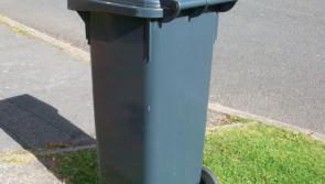 Kilkenny's 'no bin' households, and bin collectors, to face new scrutiny