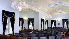 Kilkenny councillor launches bid for seat in the Seanad 