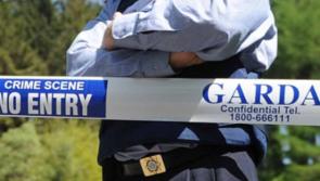 Gardaí urging public to cease sharing images of a deceased male found at a beach in Dublin
