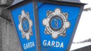Kilkenny gardaí urge people to keep their dogs under control at all times