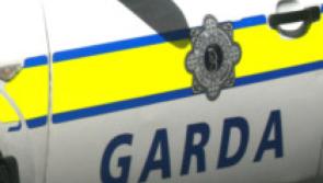 Former addict  who grew cannabis  in Piltown, Kilkenny made 'inspirational recovery' and spared prison time