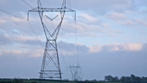 Environment Minister accused of &lsquo;washing hands&rsquo; of south Kilkenny pylon concerns