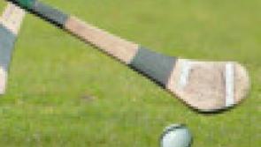 New pitch and carpark extension approved for Tullogher- Rosbercon
