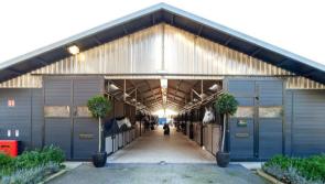 Equestrian centre on famous Kilkenny countryside estate for sale - click for pics!