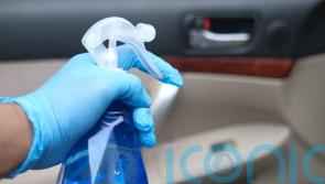 Time for a valet? Study finds car interiors are dirtier than the average toilet