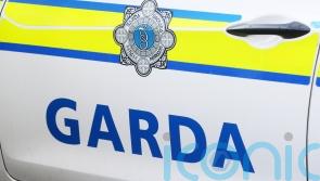 Micheal Martin pledges more resources in west Dublin after Garda car rammed