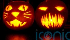 Insurer urges Kilkenny households to 'be on their guard' during Halloween 