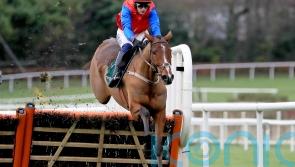 Facile Vega earns praise from Kilkenny trainer Willie Mullins after Leopardstown display