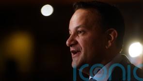 Taoiseach says some billionaires are all ‘fur coat and no knickers’ - Kilkenny Live
