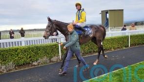 Bistro serves up a feast for Willie Mullins in victory at Naas