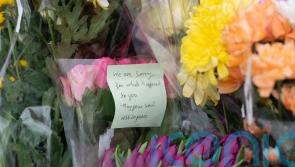 Girl (4) mauled to death by pet dog in ‘tragic, isolated incident’ in the UK