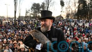 Punxsutawney Phil predicts six more weeks of winter for third year in a row