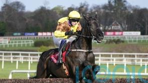 RACING: Galopin Des Champs does everything asked of him in Irish Gold Cup