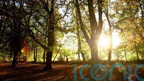 Morning exercise may be the best way of burning fat, study suggests - Kilkenny Live