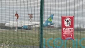 More drone activity temporarily halts flights at Dublin Airport - Kilkenny Live