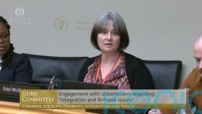 Calls for refugee response director has ‘fallen on deaf ears’, committee told - Kilkenny Live