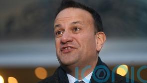 Potential low turnout not a reason to shelve gender referendum, says Taoiseach - Kilkenny Live