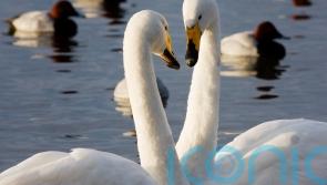 Kilkenny nature reserve receives substantial funding 