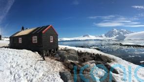 Recruits wanted for ‘opportunity like no other’ counting penguins in Antarctica