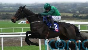 Impaire Et Passe leads Willie Mullins’ Ballymore charge at Cheltenham - Kilkenny Live