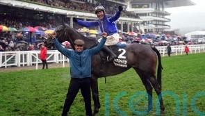 Mullins backing Energumene to bounce back in Champion Chase defence - Kilkenny Live