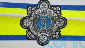 Teenager dies after quad bike incident in County Laois