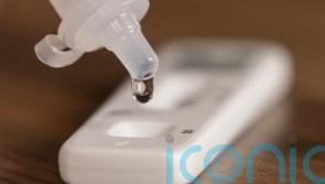 Lorry containing Covid-19 test kits stolen in Co Meath