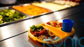 Providing school meals during holiday period may present ‘logistical complications’
