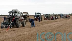 New farming apprenticeship to be made available in Kilkenny 