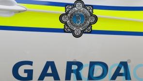 Teenager arrested after woman found dead in Co Offaly