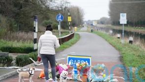 ‘Erratic fluctuation of Fitbit data’ minutes before Ashling Murphy’s death