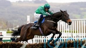 Willie Mullins trained Impaire Et Passe and team taking plenty of positives from return