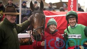 Ascot plan, as Willie Mullins trained El Fabiolo enjoys comfortable Hilly Way success