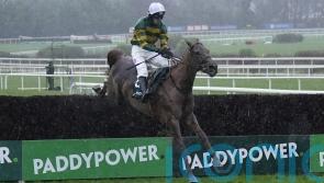 Dinoblue rewards supporters in Willie Mullins clean sweep at Leopardstown