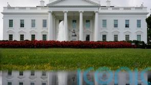 Who is running for US president? See a rundown of the major 2024 candidates