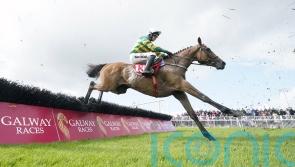 Willie Mullins entry leads the charge as power-packed Cheltenham novice entries revealed