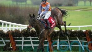 Facile success for Captain Cody on hurdles debut at Gowran Park in Kilkenny