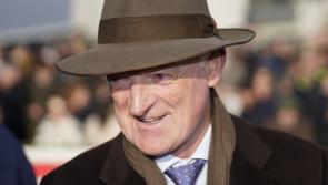 Kilkenny trainer Willie Mullins in dreamland after weekend of Grade One domination