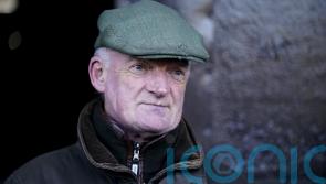 Kilkenny's Willie Mullins determined to stay focused, and on top, as Cheltenham Festival approaches