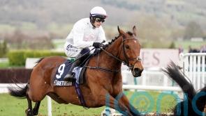 Absurde performance one to celebrate for Kilkenny's Willie Mullins