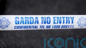 Lorry driver dies after crash in Co Wicklow