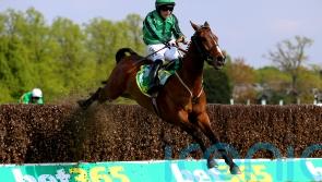 Kilkenny trainer Shark Hanlon sets sights on Aintree Bowl for Hewick