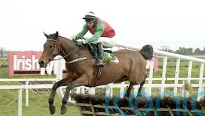 Hugely-popular Kilkenny hurdler Limestone Lad dies at the age of 32