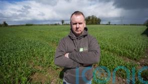 Tillage farmers worry about future after heavy rain and a ‘pear-shaped’ 2023