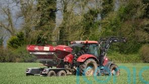 Wheat, barley and oat production declined by a fifth in 2023 – CSO