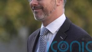 Greens used to ‘sniping’ from coalition partners, O’Gorman says