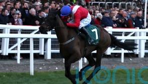 Kilkenny jockey describes death of Ferny Hollow as ‘very, very sad’