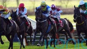 Form horse delivers knockout blow in Galmoy Hurdle at Goffs Thyestes Day in Gowran Park, Kilkenny