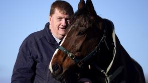 Kilkenny's own &lsquo;people&rsquo;s horse&rsquo; aiming to raise the roof at The Grand National