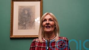 Speaker of Irish parliament faces confidence motion